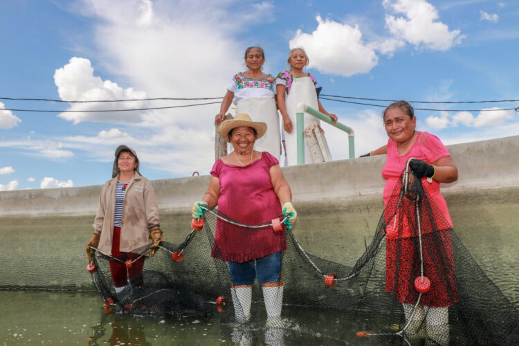Capacita Conapesca a 595 mujeres rurales en técnicas de cultivo de tilapia, bagre, trucha y ostión