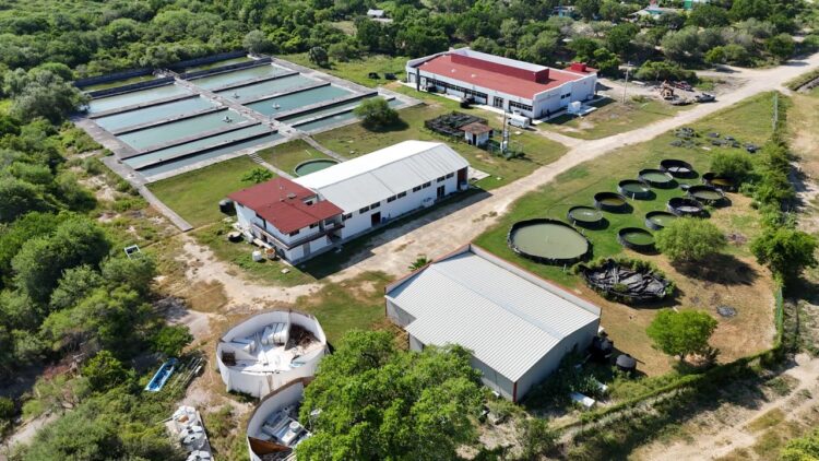 Amplían infraestructura de la Universidad Tecnológica del Mar en Soto la Marina, Tamaulipas