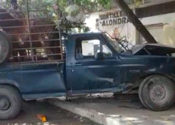 Dos caballos y chofer de camioneta heridos en choque