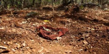 Hallan 24  cadáveres en fosa clandestina de Michoacán