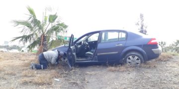 Mujer estrella auto en palmera del bulevar Fidel Velázquez