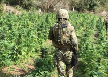 Dan golpe al ‘Mayo’ Zambada en Sinaloa