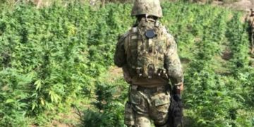 Dan golpe al ‘Mayo’ Zambada en Sinaloa