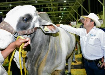 Inicia programa ganadero de Mejoramiento Genético Tam 2020