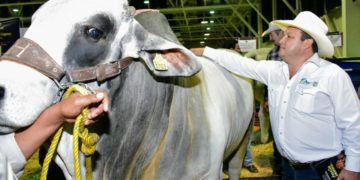 Inicia programa ganadero de Mejoramiento Genético Tam 2020