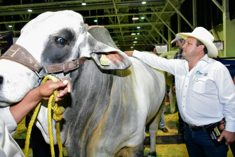 Inicia programa ganadero de Mejoramiento Genético Tam 2020