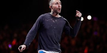 Critica Levine a Viña del Mar