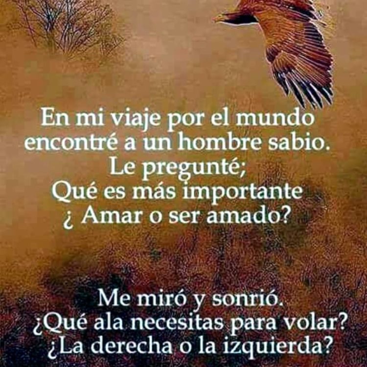 En mi viaje por el mundo