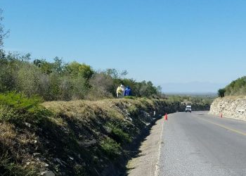 Abejas atacan a jornalero