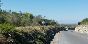Abejas atacan a jornalero
