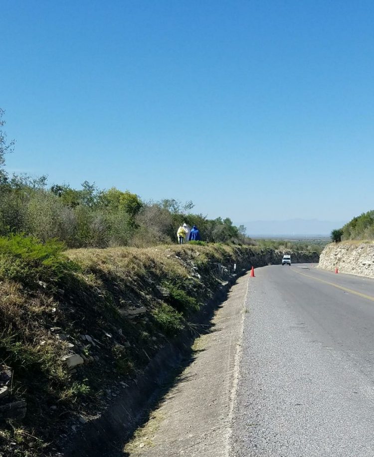 Abejas atacan a jornalero