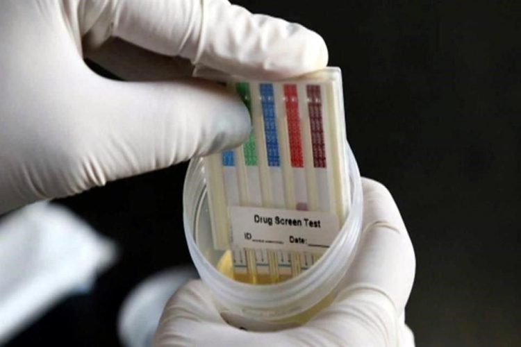 Desembolso millonario de Conade