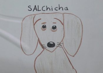 Niño busca a su perrita perdida con un dibujo