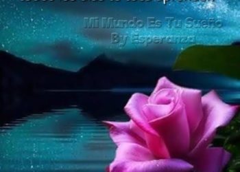 La vida es un camino a largo plazo