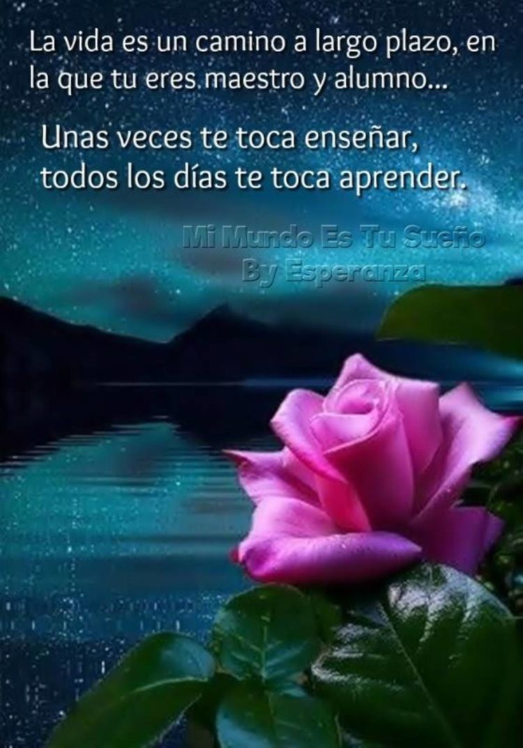 La vida es un camino a largo plazo