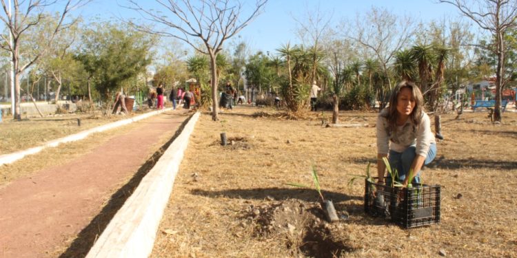 Intensifica Municipio rehabilitación de Unidades Deportivas