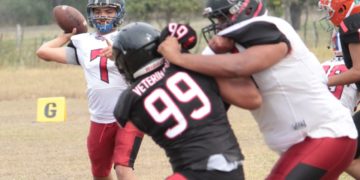 Búfalos y Búhos Tampico, rumbo a la Final