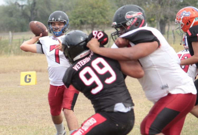 Búfalos y Búhos Tampico, rumbo a la Final