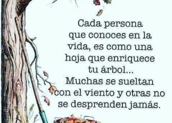 Cada persona que conoces en la vida