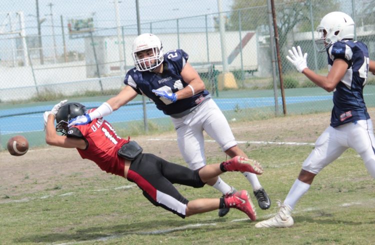 Búhos Tampico, nuevo campeón de Intermedia