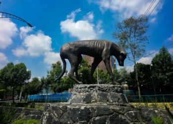 Monumento al Perro Callejero