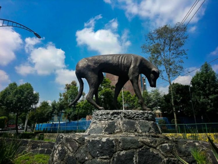 Monumento al Perro Callejero