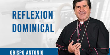 Reflexión Dominical