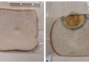 Maestra hace experimento para demostrar la importancia de lavarse las manos