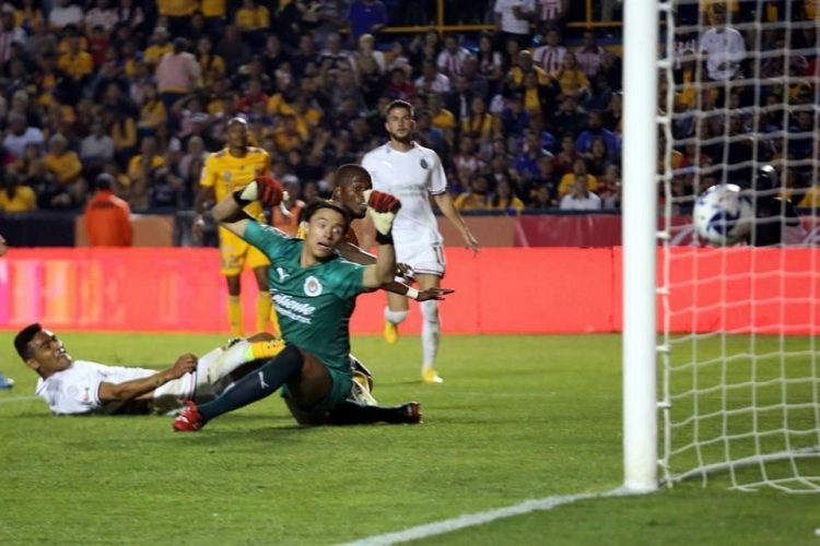 Acaba maleficio de Tigres