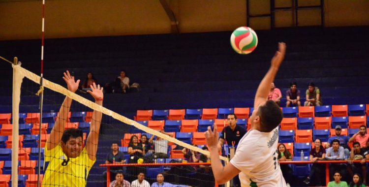 Zorros, campeón de voleibol varonil
