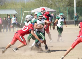 Lideran Búfalos y Búhos Tampico, grupos de Intermedia