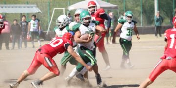 Lideran Búfalos y Búhos Tampico, grupos de Intermedia