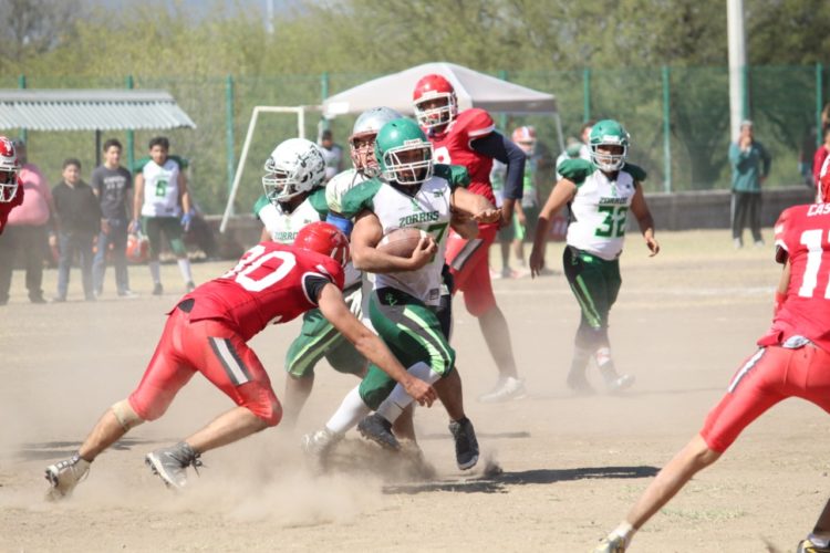 Lideran Búfalos y Búhos Tampico, grupos de Intermedia