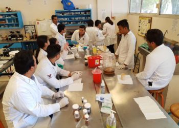 Estudian nuevas especies de mosquita blanca en Tamaulipas