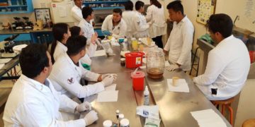 Estudian nuevas especies de mosquita blanca en Tamaulipas