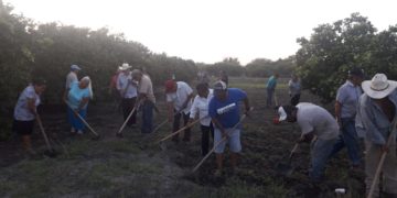 Antorcha solicita trabajo temporal para habitantes de San Carlos.