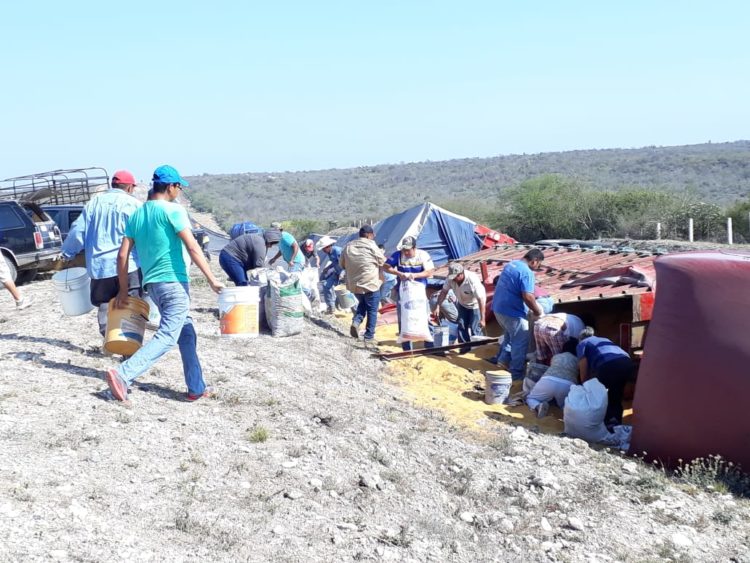 Rapiña en  carga de sorgo tras volcar tráiler