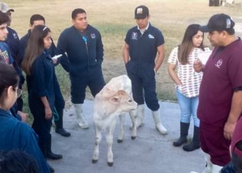 Impartirá UAT Especialidad en Reproducción Animal