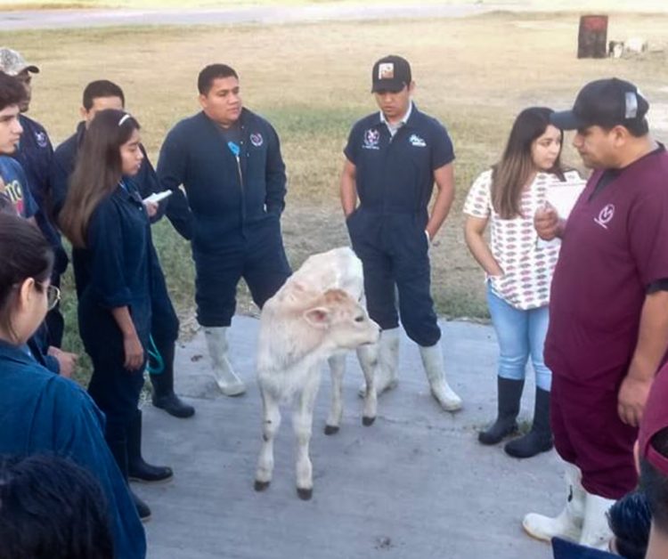 Impartirá UAT Especialidad en Reproducción Animal