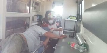 Abejas atacan a jornalero que cortaba leña