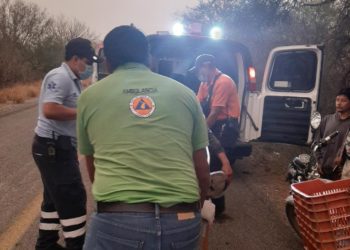 Coyote ocasiona que empleado caiga de motocicleta