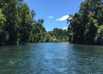 Día Mundial de Acción en Defensa de los Ríos