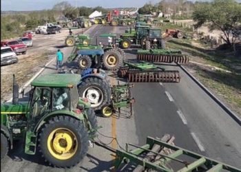 Esperan pague SADER a productores tamaulipecos