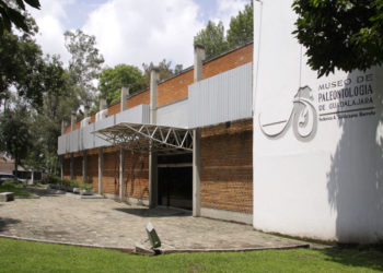 Museo de Paleontología