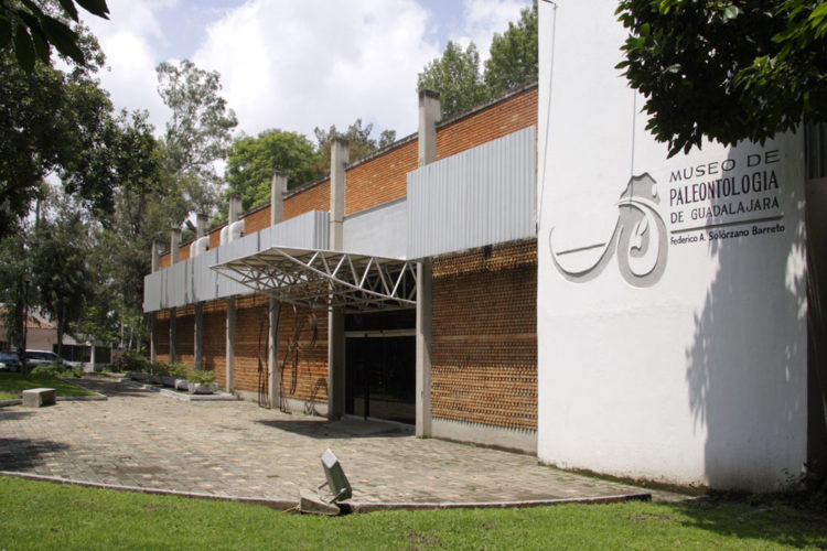 Museo de Paleontología