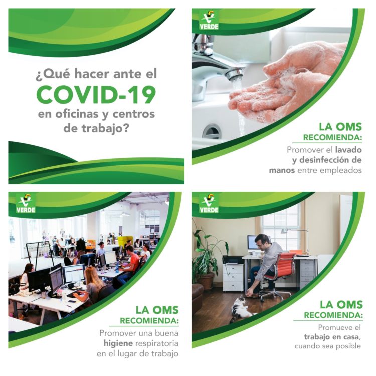 Invita el Partido Verde a denunciar abusos de laborales durante contingencia sanitaria