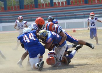 No se hacen daño, Correcaminos y Lagartos