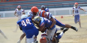 No se hacen daño, Correcaminos y Lagartos