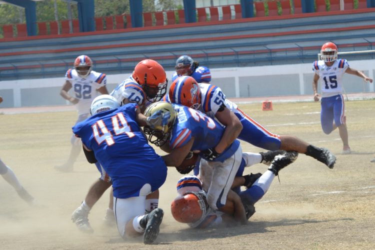 No se hacen daño, Correcaminos y Lagartos
