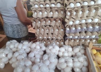 Esperan comerciantes escasez de huevo por Covid-19